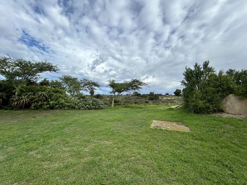 A view of the vacant commercial land featuring established trees, natural landscaping, and a level grassed area.
