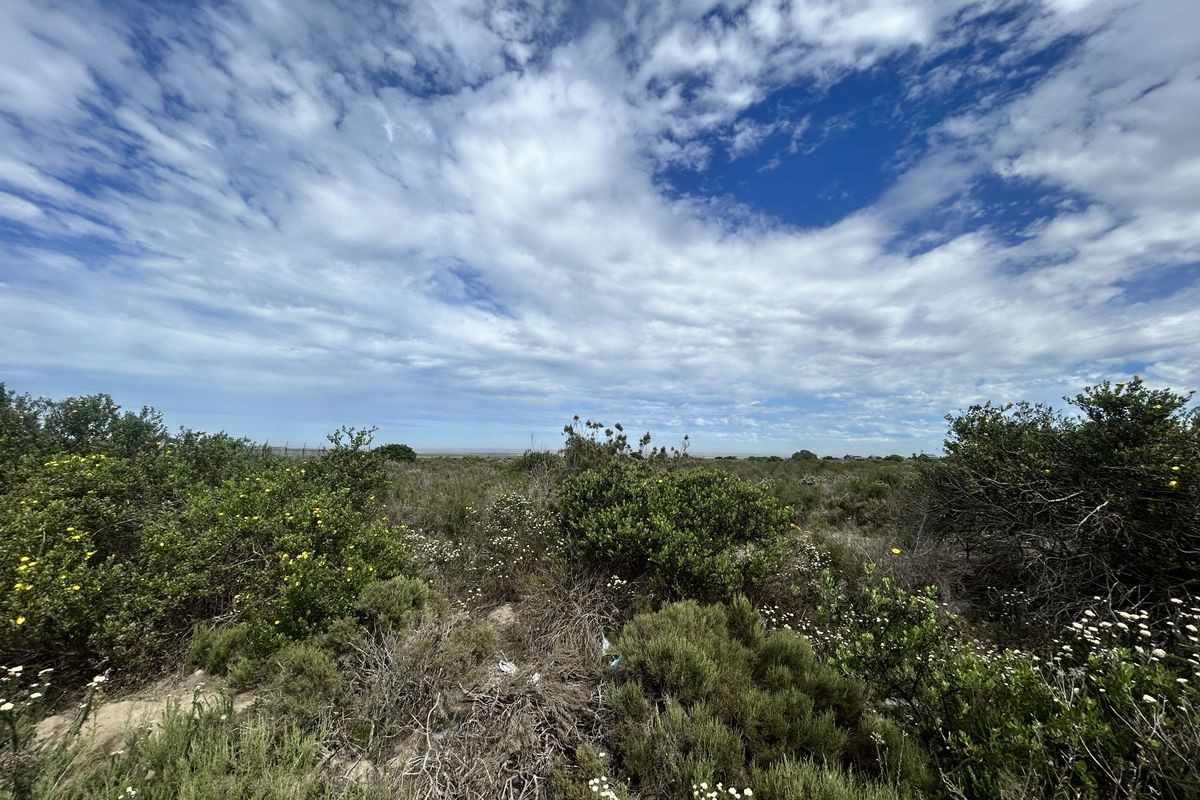 Commercial Stand For Sale - Photo 2