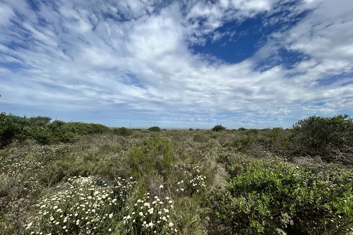 Commercial Stand For Sale - Photo 3