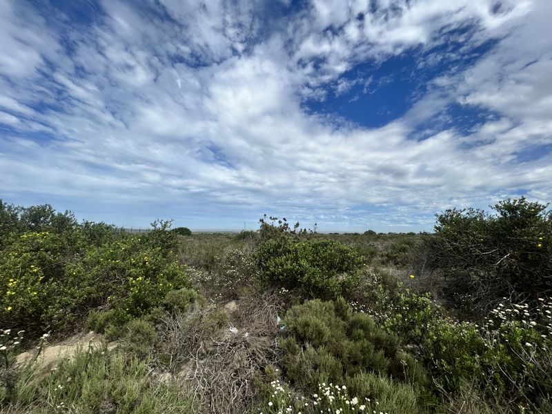 A view of the vacant commercial land featuring natural coastal vegetation and shrubs under a bright, cloudy sky.