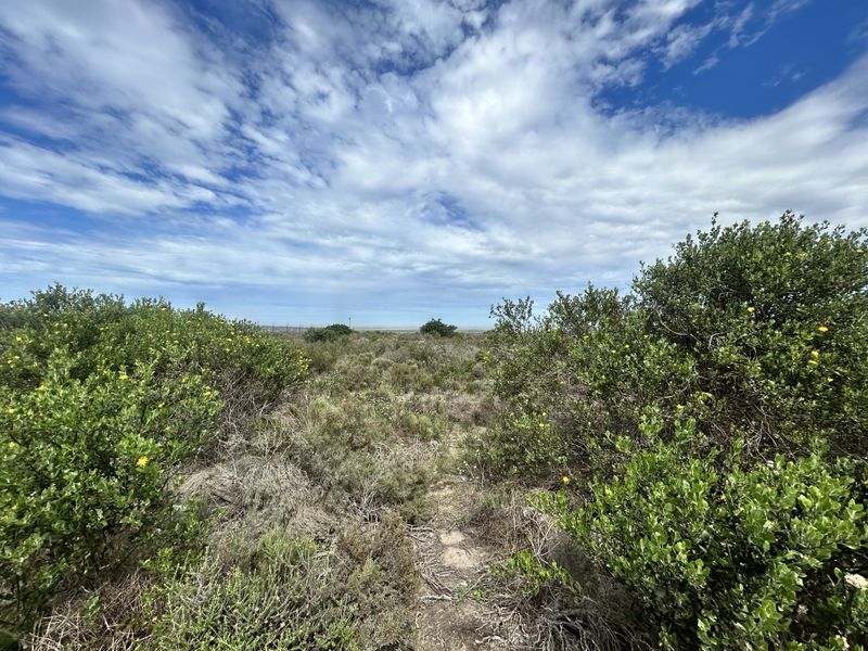 A view of the vacant commercial land featuring natural vegetation and native shrubbery under a bright, cloudy sky.
