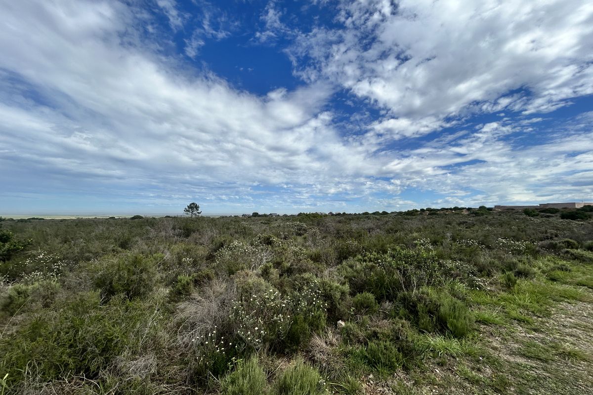 Commercial Development Opportunity - Photo 2