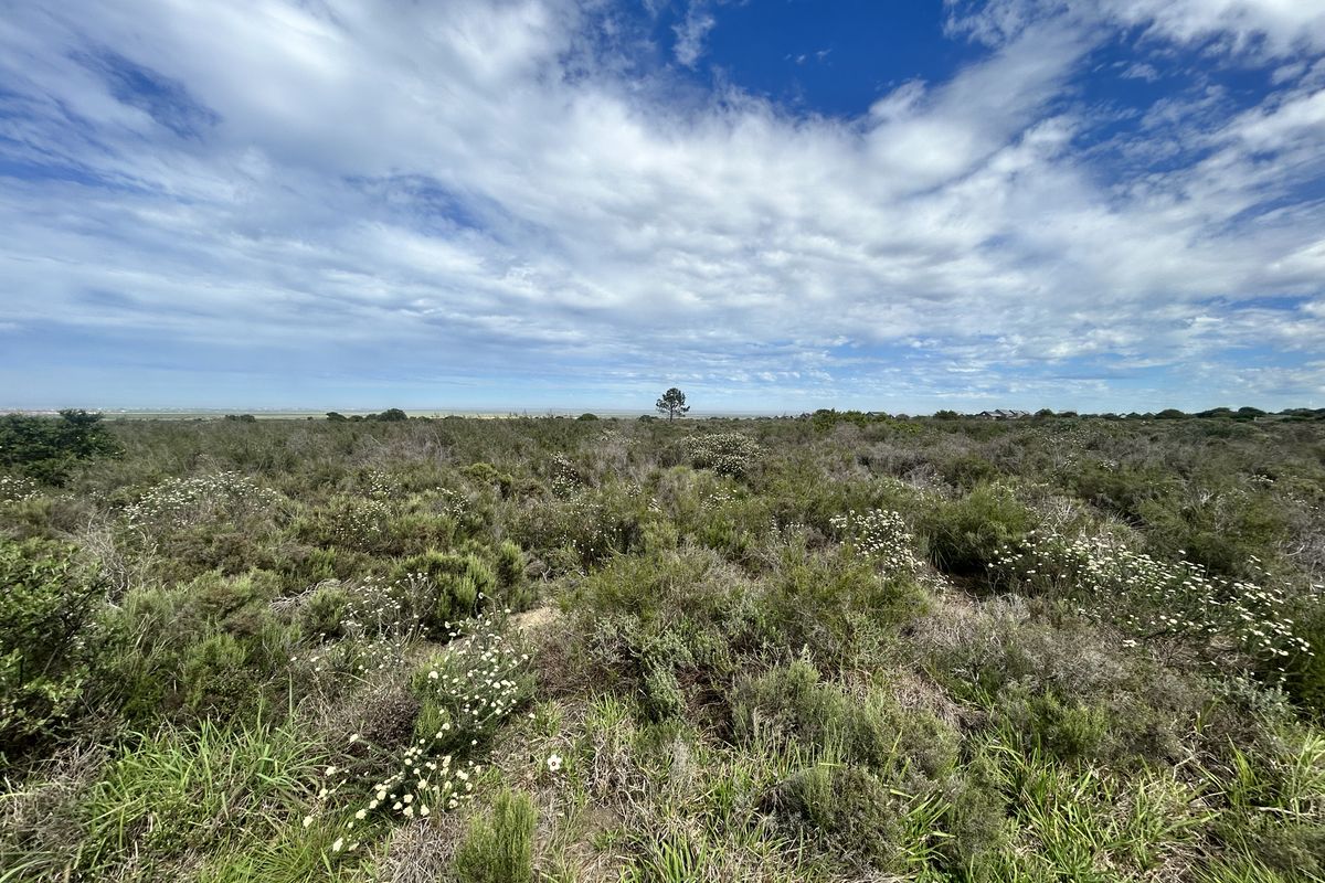 Commercial Development Opportunity - Photo 3