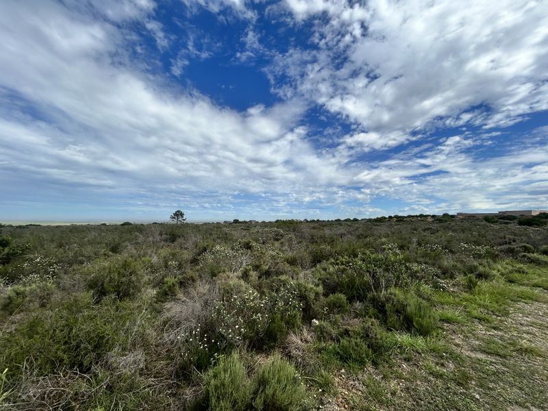 A wide-angle view of a vacant commercial land plot featuring natural vegetation and open landscape under a bright, cloudy sky.