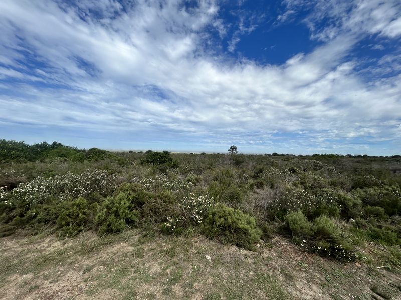 A wide-angle view of a vacant commercial land plot featuring natural coastal vegetation and open landscape under a bright blue sky.