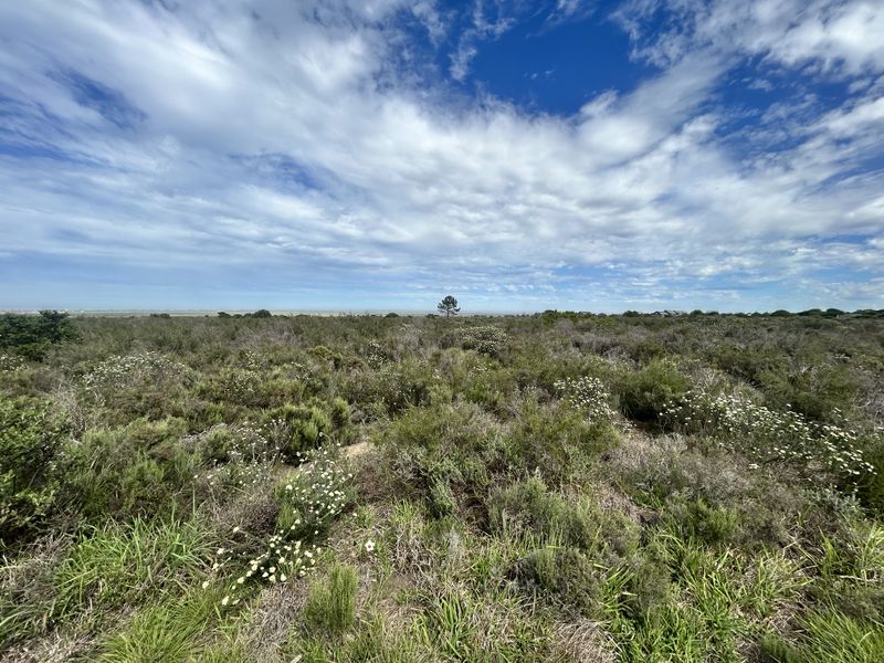 A wide-angle view of a vacant commercial land plot featuring natural coastal vegetation and open terrain under a clear blue sky.