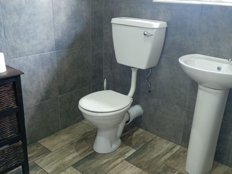 A functional bathroom featuring grey wall tiling, wood-look floor tiles, a pedestal basin, and a standard toilet suite.