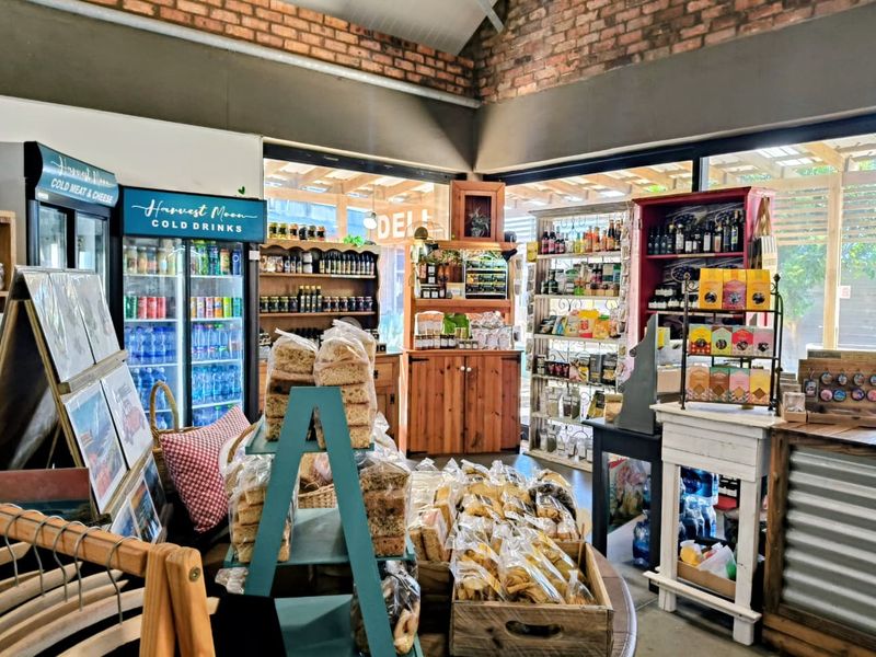 Gourmet Gift Shop & Deli for Sale – Jeffreys Bay - Photo 4