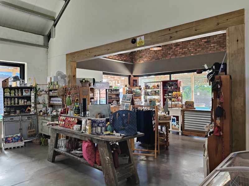Gourmet Gift Shop & Deli for Sale – Jeffreys Bay - Photo 5