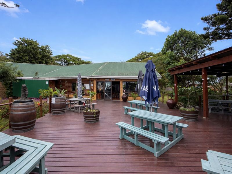 Oribi Gorge Income-Generating Lifestyle Farm with Tourism Appeal - Photo 4