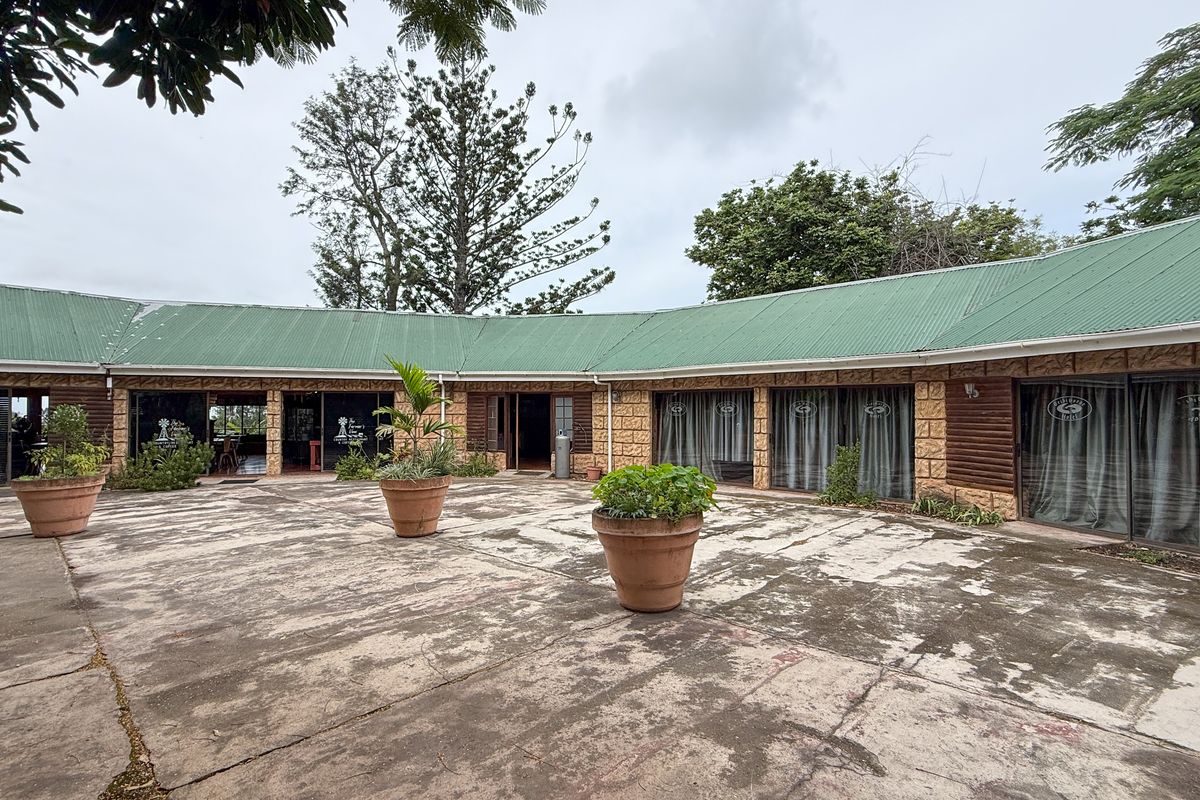 A spacious rear courtyard featuring stone-clad walls, green corrugated roofing, and multiple sliding glass door access points to the main building structure.