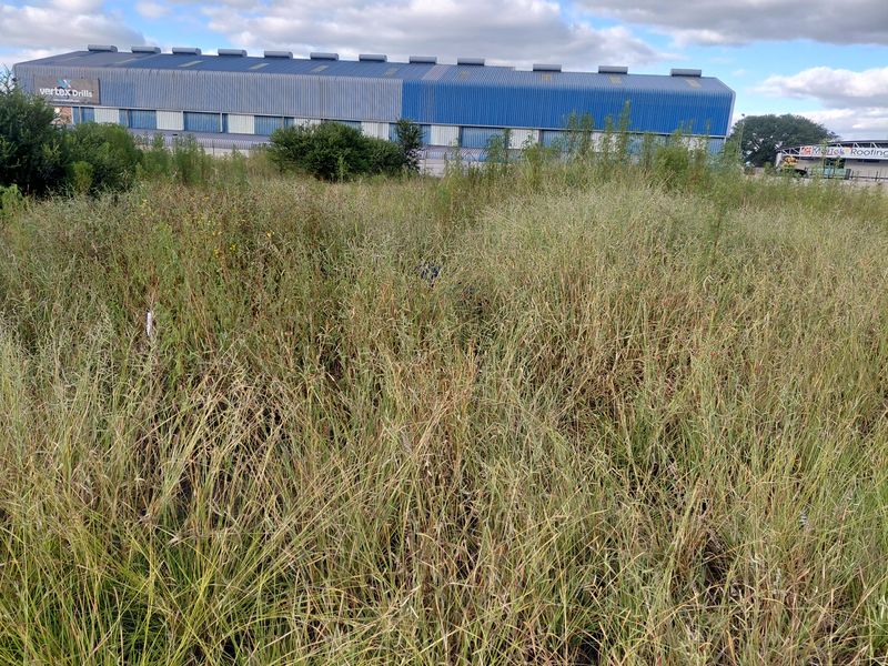 A view of a vacant commercial land plot featuring tall, overgrown grass with an industrial warehouse building visible in the background.