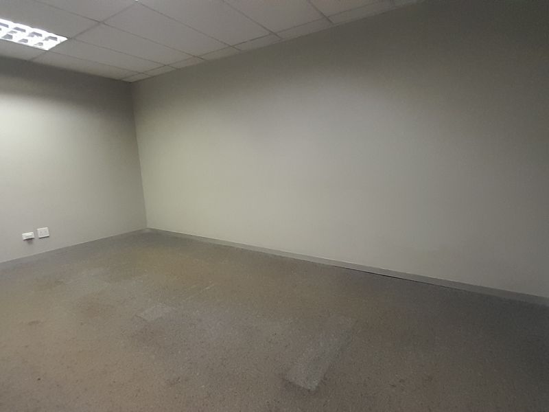 An empty office space featuring a suspended ceiling with recessed lighting and worn carpet flooring, providing a blank canvas for professional use.