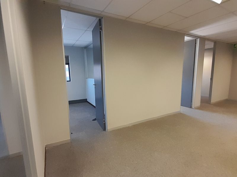 An empty office suite featuring neutral walls, carpeted flooring, and a suspended ceiling with recessed lighting, providing a clean and functional workspace.
