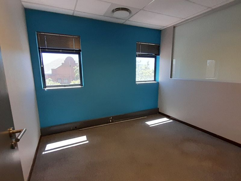 An empty office space featuring a blue accent wall, suspended ceiling, glass partition, and carpet flooring with visible staining.