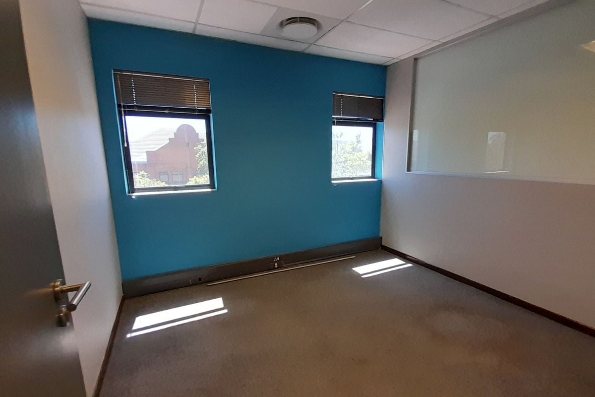 An empty office space featuring a blue accent wall, suspended ceiling, glass partition, and carpet flooring with visible staining.