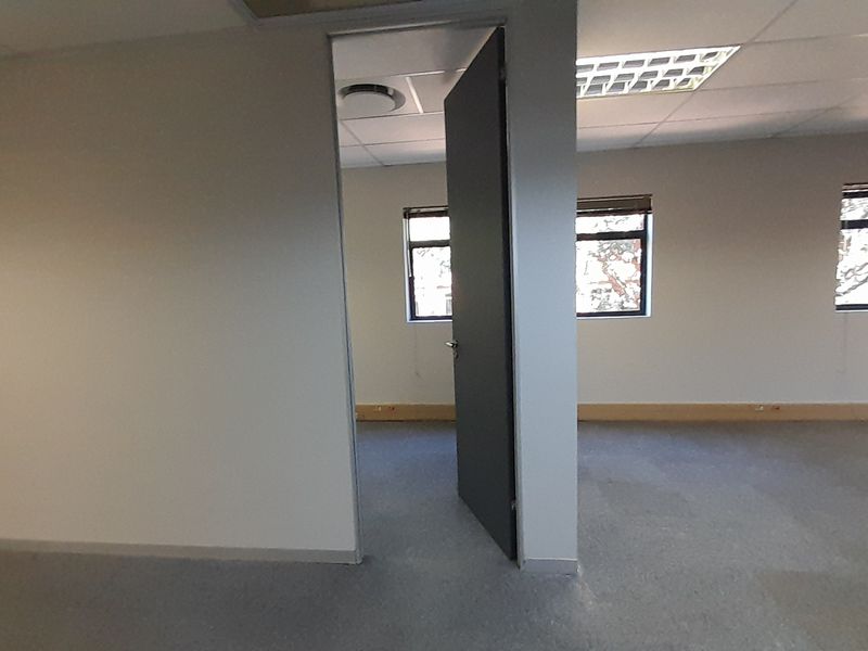 An empty, open-plan office space featuring neutral walls, carpeted flooring, and a suspended ceiling with recessed lighting.