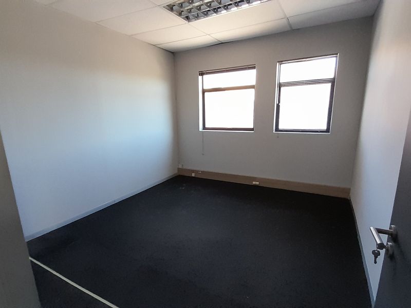A vacant office space featuring a suspended ceiling with recessed lighting, dark carpet flooring, and two windows providing natural light.