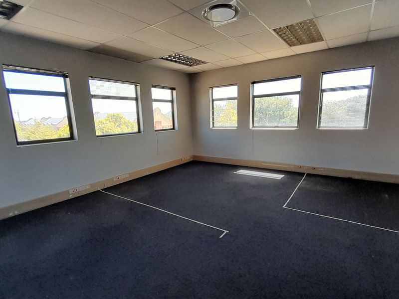 A spacious, empty office area featuring a suspended ceiling, recessed lighting, and large windows providing ample natural light.