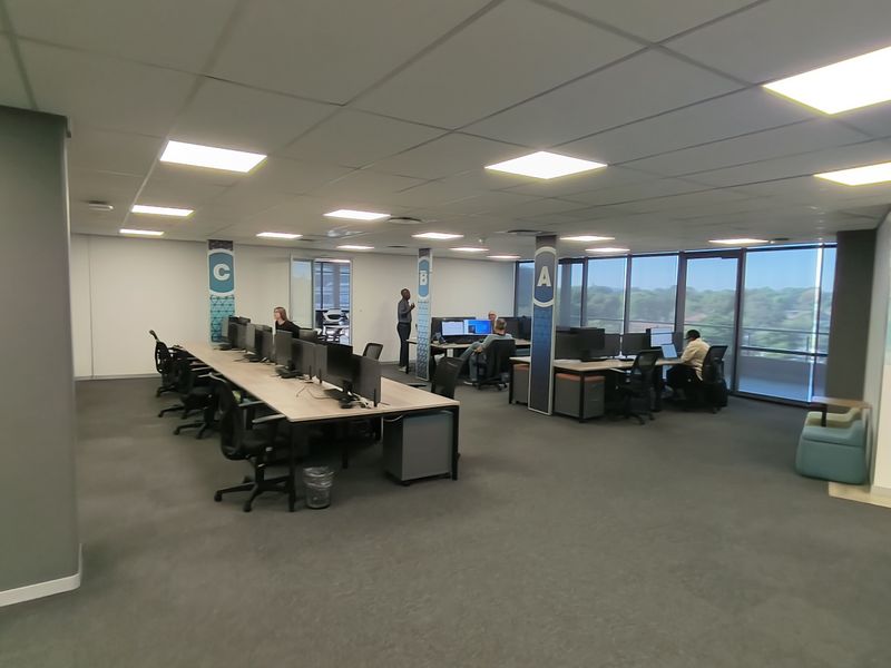 Spacious open-plan office area featuring large floor-to-ceiling windows, suspended ceilings with recessed lighting, and carpeted flooring.