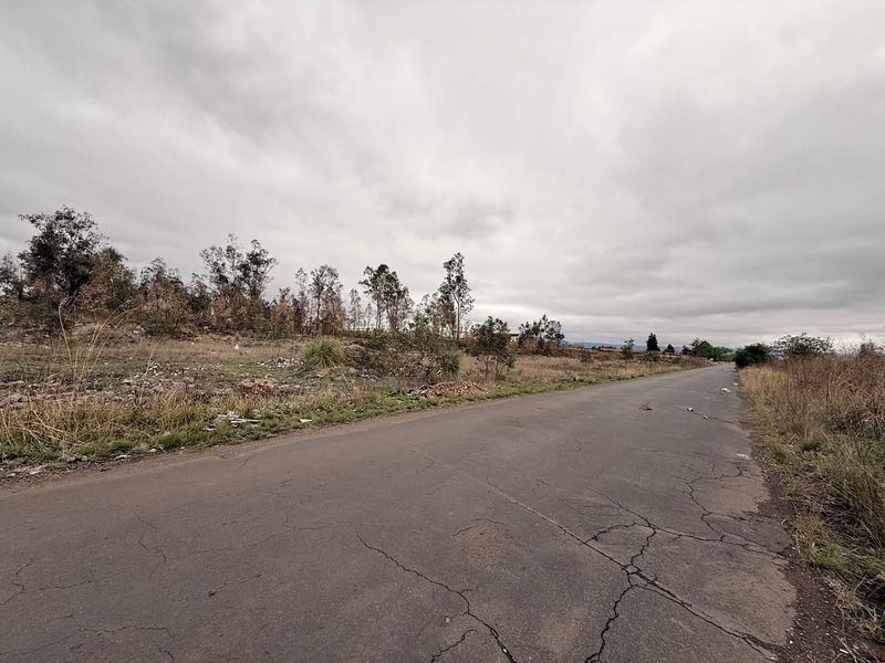 A view of an asphalt road leading past an undeveloped, overgrown plot of land under an overcast sky.