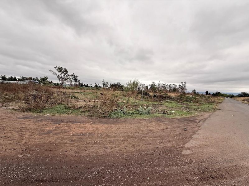 An undeveloped industrial land plot featuring a dirt access road and natural vegetation, suitable for future industrial development.