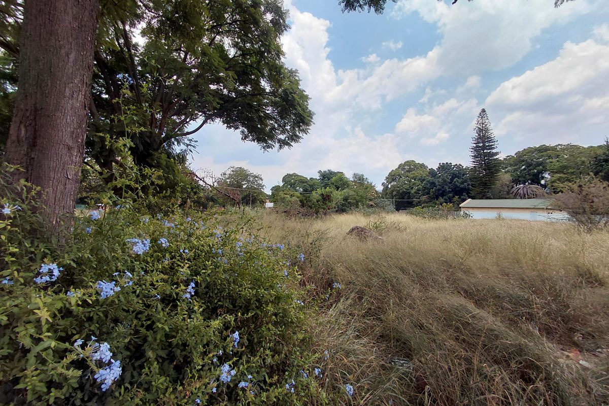 Strategic Commercial Development Opportunity - Photo 5