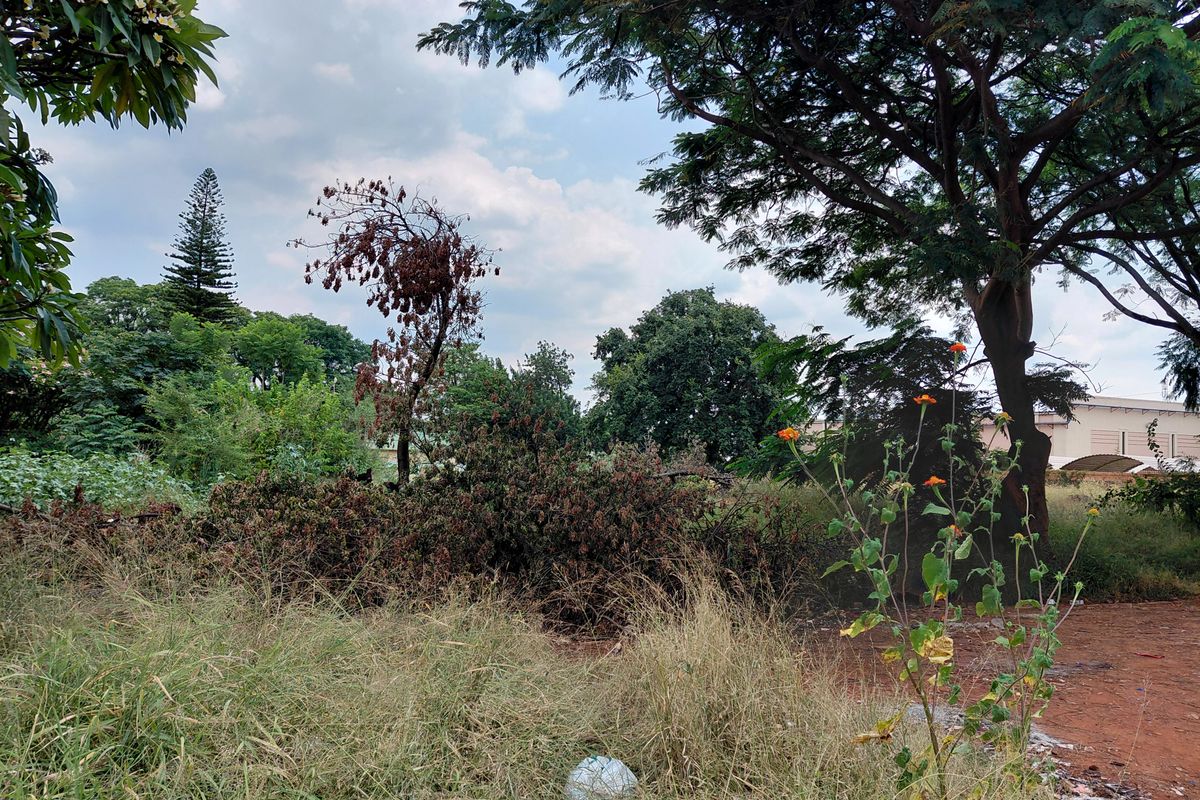 Strategic Commercial Development Opportunity - Photo 4