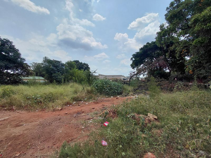An undeveloped commercial land plot featuring overgrown vegetation, natural terrain, and mature trees, offering a blank canvas for future development.
