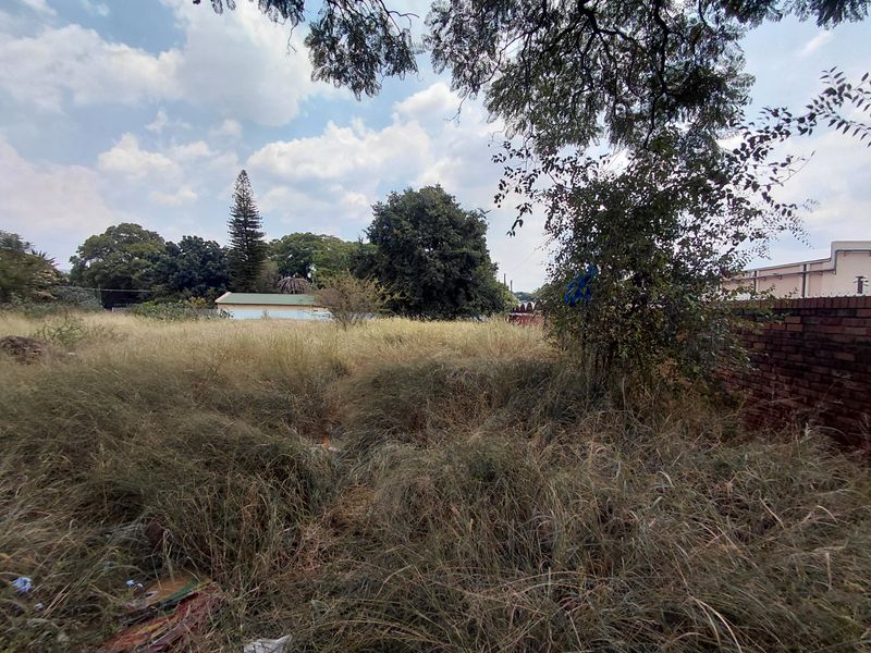 A view of a vacant commercial plot featuring overgrown grass, mature trees, and a partial brick boundary wall.