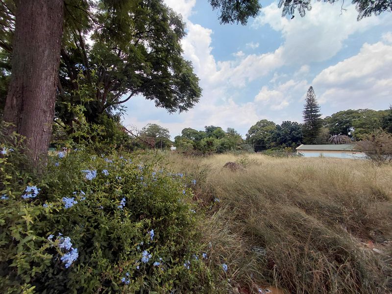 A view of a vacant commercial land plot featuring mature trees, established shrubs, and overgrown grass, offering a natural setting for potential development.