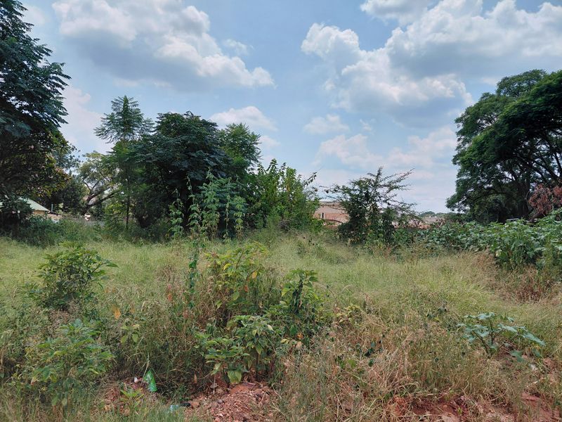 A view of a vacant commercial land plot featuring natural vegetation, mature trees, and open ground, suitable for future development.
