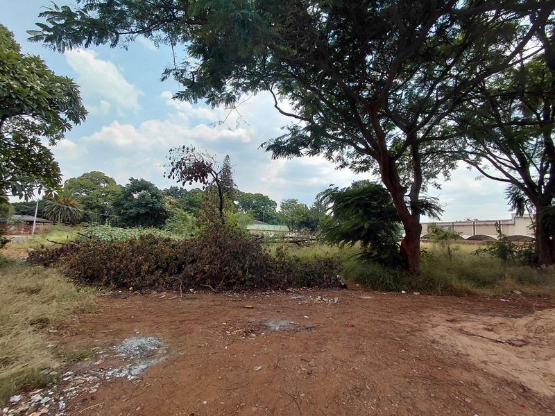 A view of a vacant commercial land plot featuring mature trees, overgrown grass, and accumulated debris on an unimproved dirt surface.