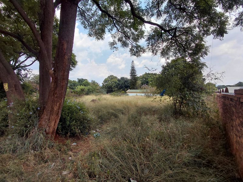 A view of a vacant commercial land plot featuring mature trees and overgrown grass, enclosed by a brick boundary wall.