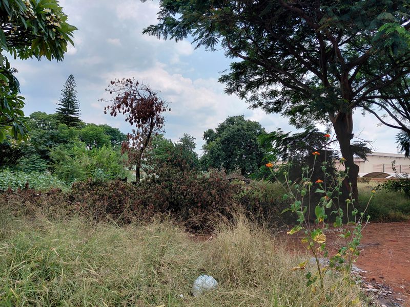 A view of the vacant commercial land featuring mature trees, overgrown grass, and natural landscaping.