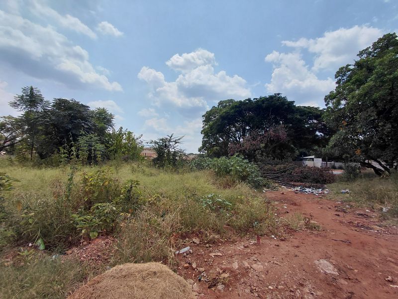 A view of a vacant commercial land plot featuring overgrown grass, mature trees, and uneven dirt terrain.