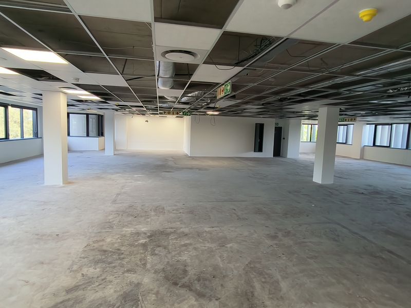 A large, open-plan office space featuring structural columns, expansive windows, and an unfinished suspended ceiling grid, offering a blank canvas for custom fit-outs.