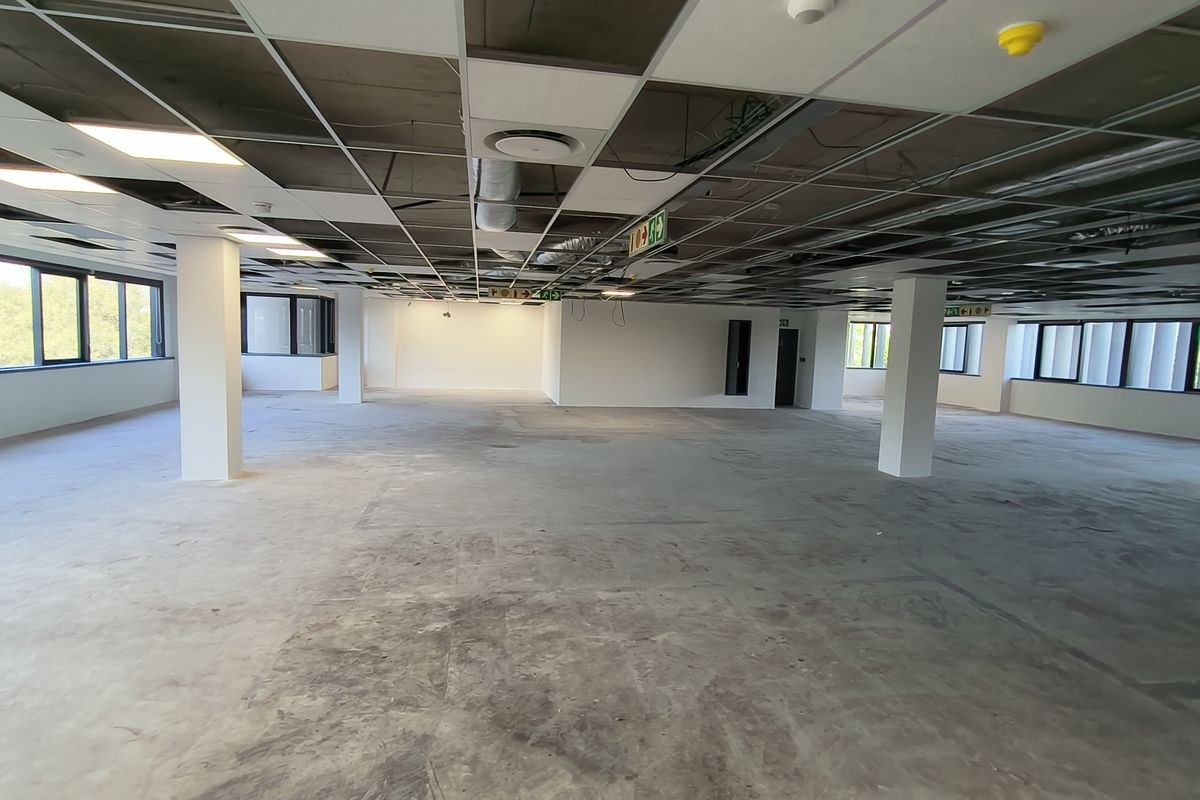 A large, open-plan office space featuring structural columns, expansive windows, and an unfinished suspended ceiling grid, offering a blank canvas for custom fit-outs.