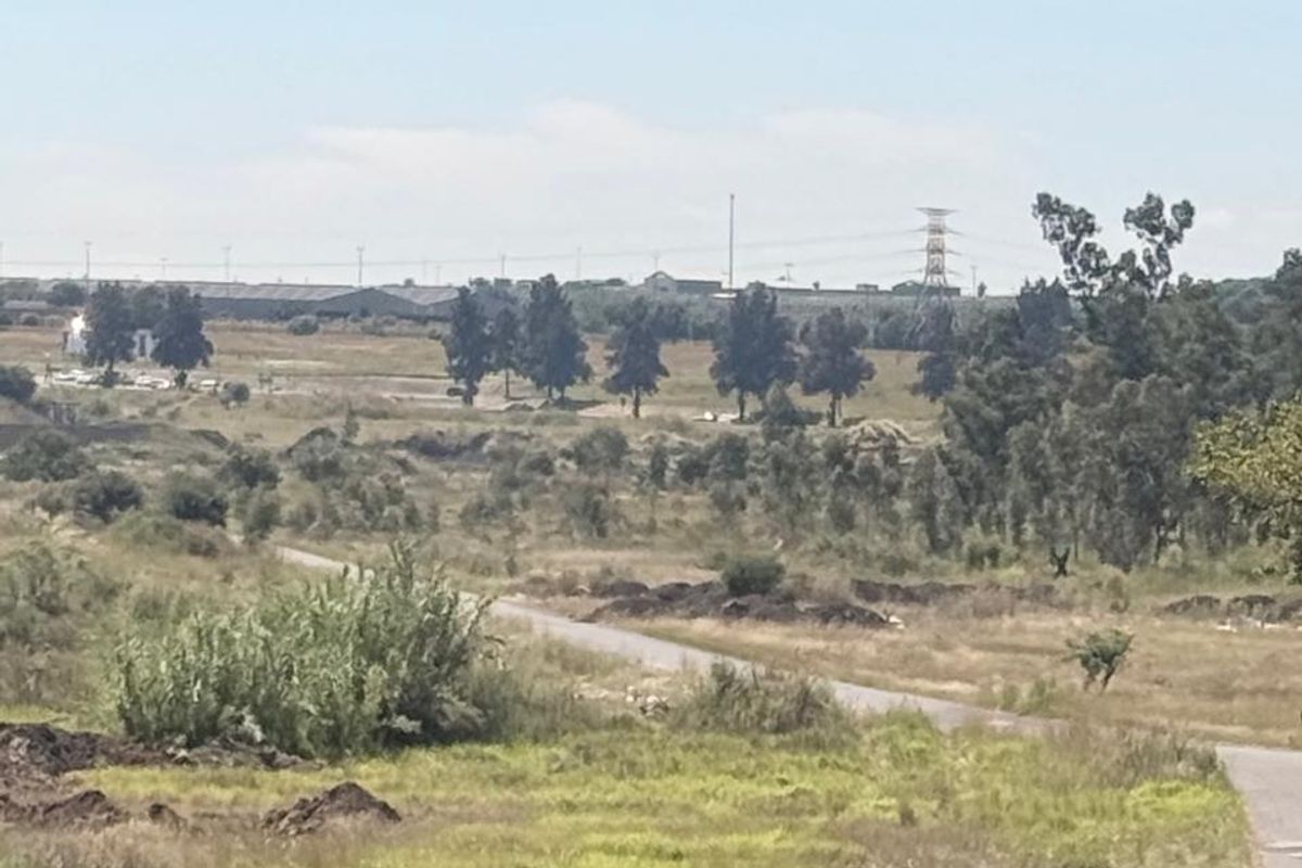 Vacant Land just off the N11 - Photo 4