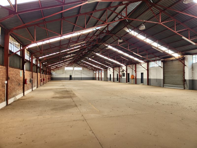 Spacious industrial warehouse featuring high ceilings with exposed steel trusses, concrete flooring, natural light from skylights, and a large roller shutter door.