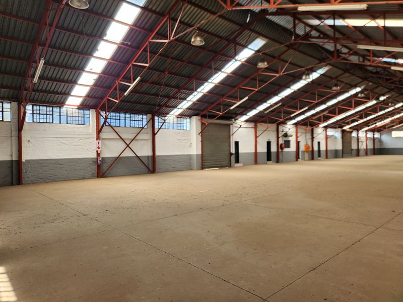 Spacious industrial warehouse featuring high ceilings with exposed steel trusses, natural light from skylights, concrete flooring, and multiple roller shutter access doors.