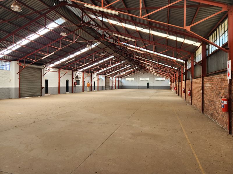 Expansive industrial warehouse space featuring high ceilings with exposed steel trusses, concrete flooring, roller shutter doors, and integrated fire safety equipment.