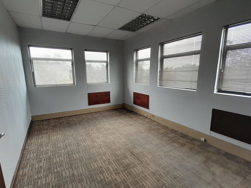 A vacant office space featuring a suspended ceiling, recessed lighting, carpeted flooring, and multiple windows with fitted venetian blinds.