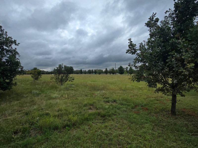 Exceptional Smallholding with Industrial Facility in Henley on Klip – Endless Potential. - Photo 2