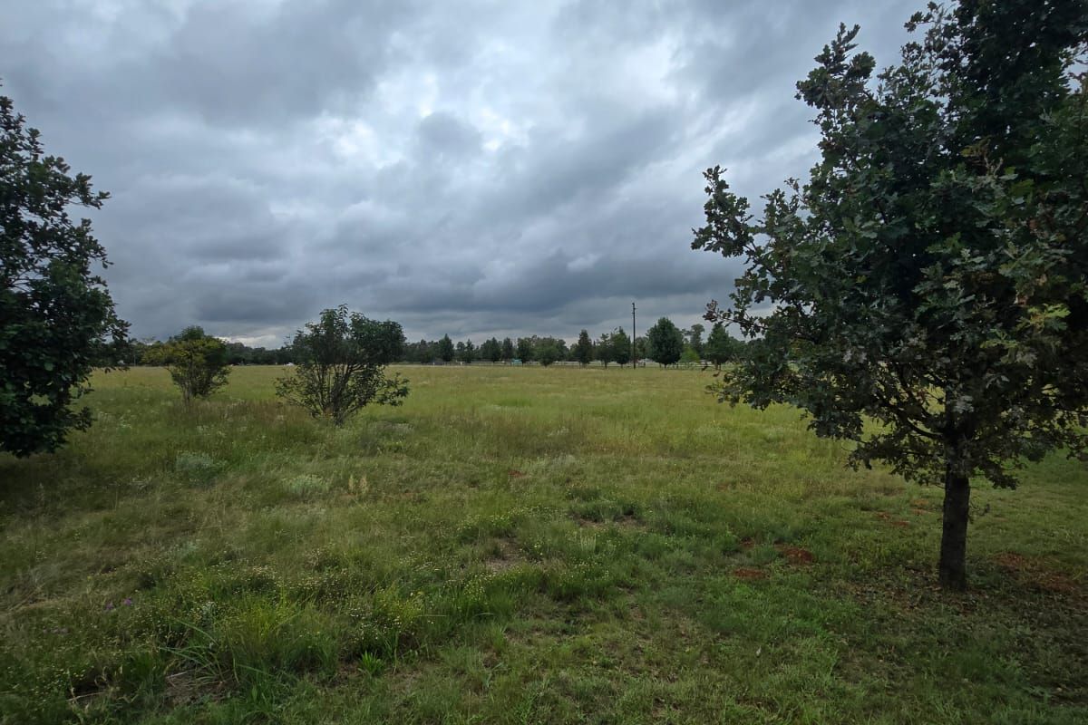 Exceptional Smallholding with Industrial Facility in Henley on Klip – Endless Potential. - Photo 2