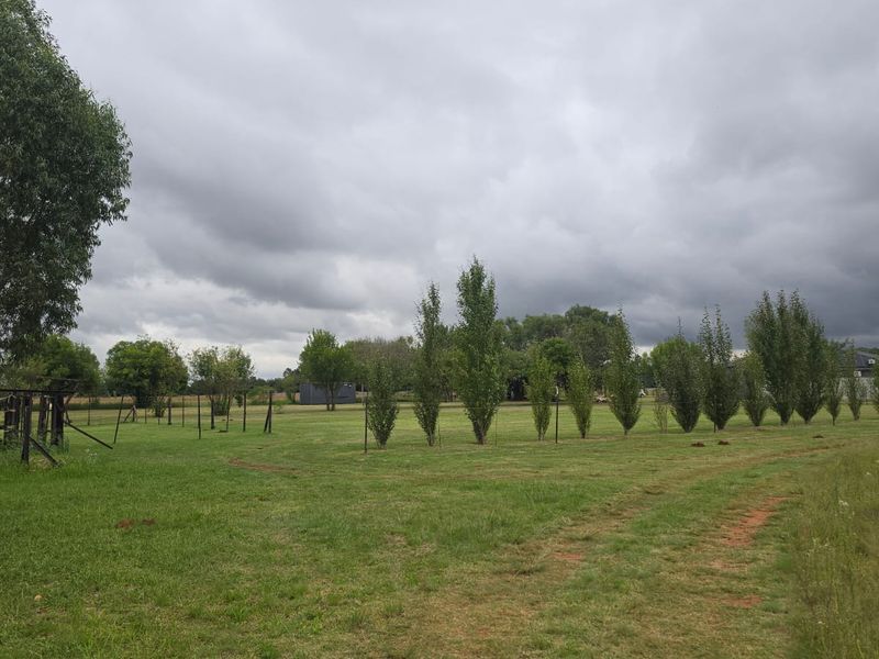 Exceptional Smallholding with Industrial Facility in Henley on Klip – Endless Potential. - Photo 3