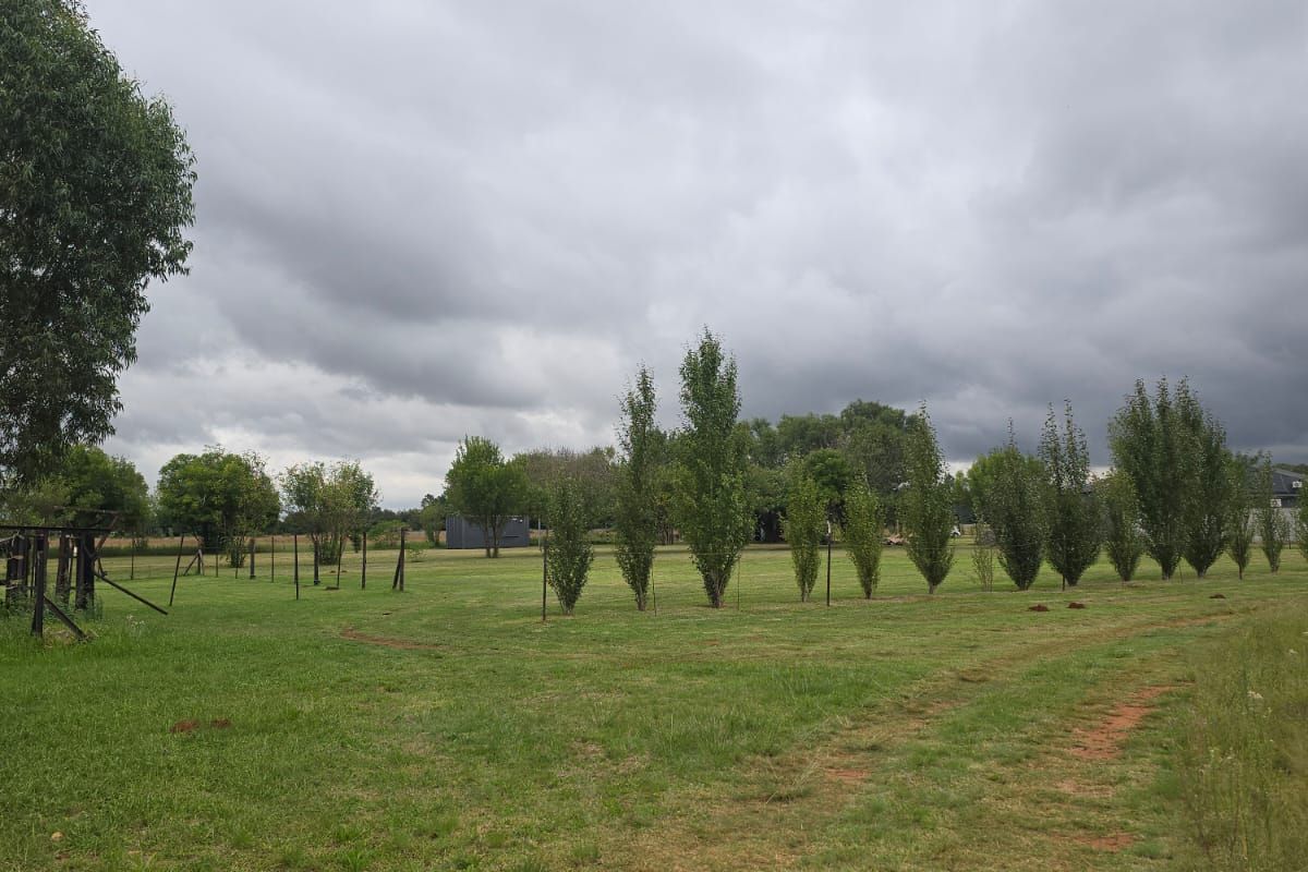 Exceptional Smallholding with Industrial Facility in Henley on Klip – Endless Potential. - Photo 3