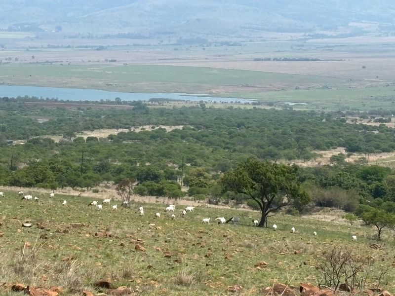 Expansive rural landscape view featuring rolling hills, natural vegetation, and a distant water body on the farm property.