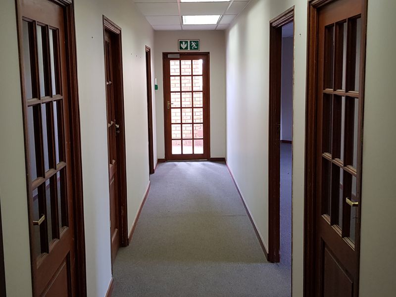 A functional office hallway featuring multiple wooden framed glass doors, carpeted flooring, and recessed ceiling lighting, providing access to various office spaces.