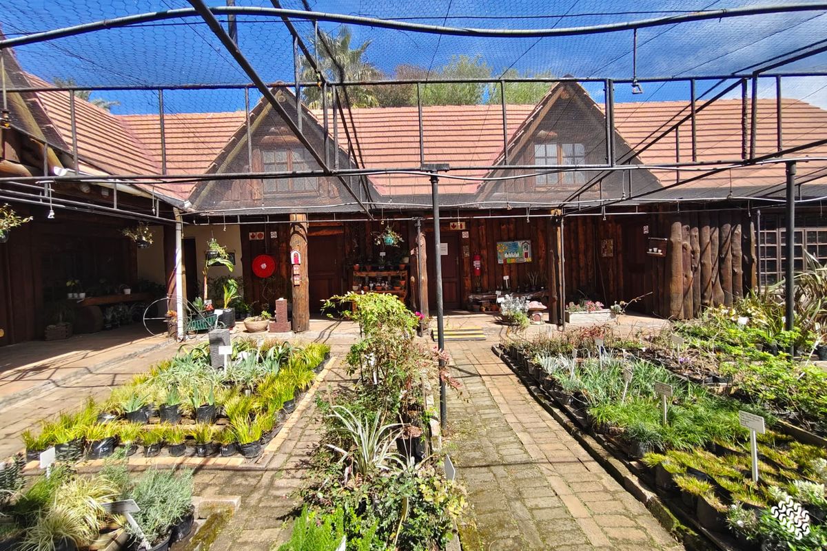 An outdoor retail nursery area featuring a paved walkway, timber-clad building facade, and overhead shade netting structure.
